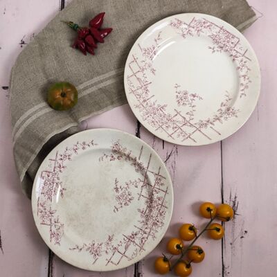 Set of six dinner plates with English red flowers