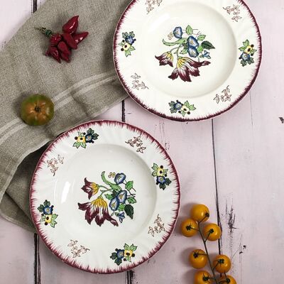 Set of 12 hand painted French gloomy plates