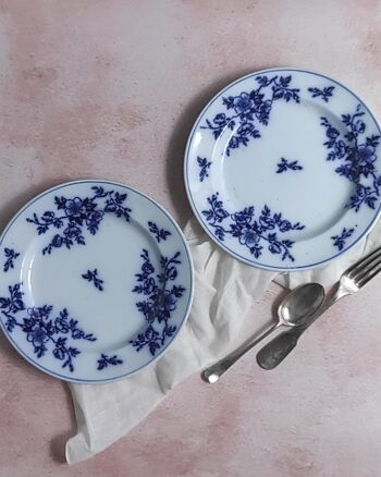Paire d'assiettes à fleurs bleues ashworth 1