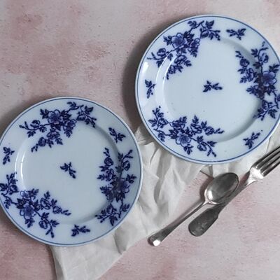 Par de platos de flor azul ashworth