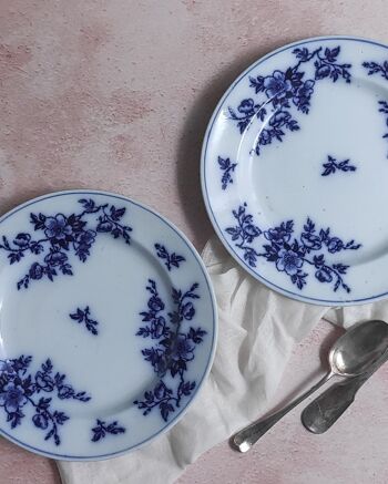 Paire d'assiettes à fleurs bleues ashworth 2