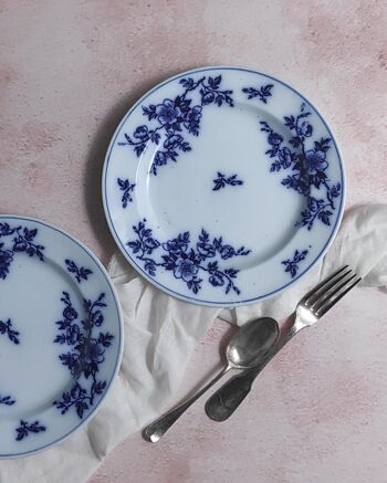 Paire d'assiettes à fleurs bleues ashworth 4