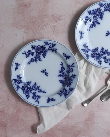 Paire d'assiettes à fleurs bleues ashworth 5
