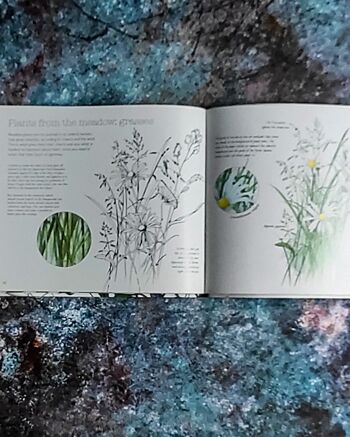 Cahier de dessin manuel : l'art du dessin botanique par agathe Ravet Haervermans 3