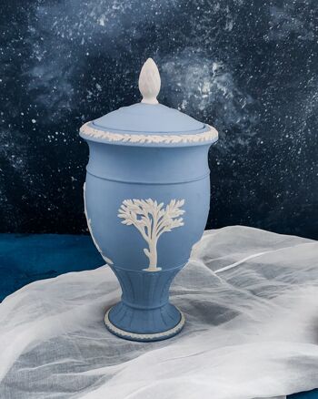 Potiche jasperware wedgwood paradisiaque 3