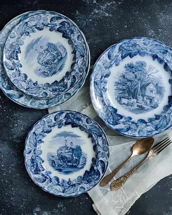 Deux paires d'assiettes plates copeland bleues 2