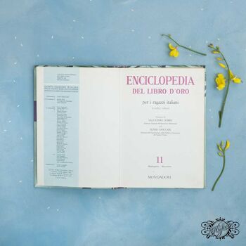 Encyclopédie illustrée en volume pour les enfants des années 60 n. 11 2