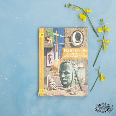Encyclopédie illustrée en volume pour enfants des années 1960 n. 13
