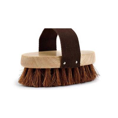 Eco Max brosse de toilettage pour chien éthique et durable