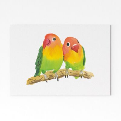 Love Birds 2 - A4