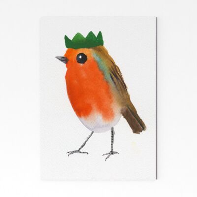 Robin 3 - A4