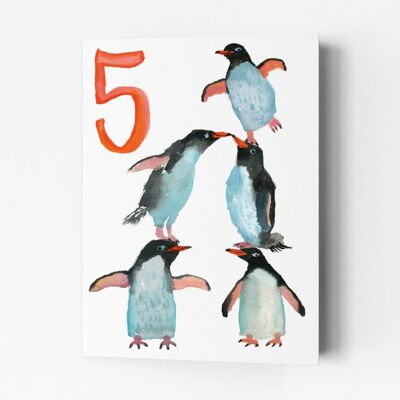 Pingüinos de cinco años
