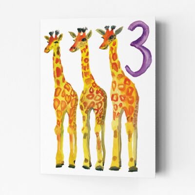 Dreijährige Giraffen