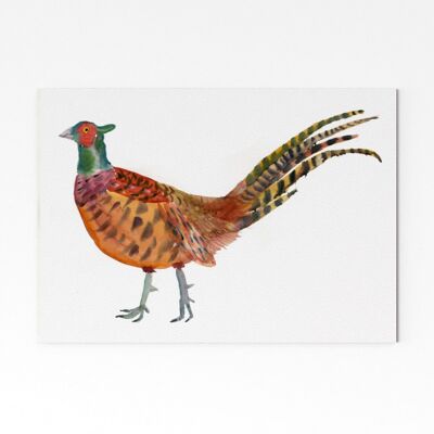 Pheasant - A3