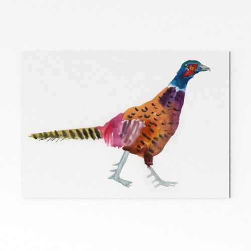 Pheasant 2 - A4