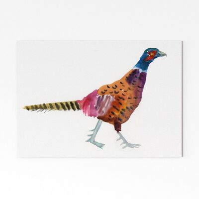 Pheasant 2 - A5