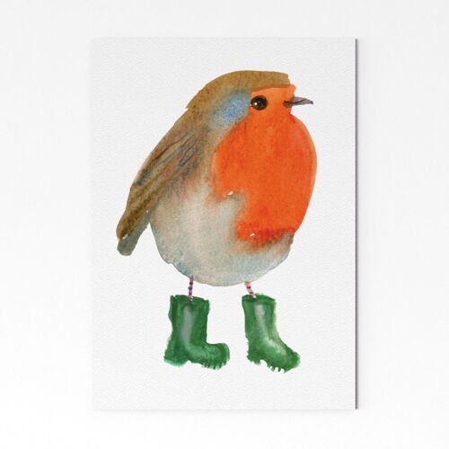 Robin in Wellies - A3