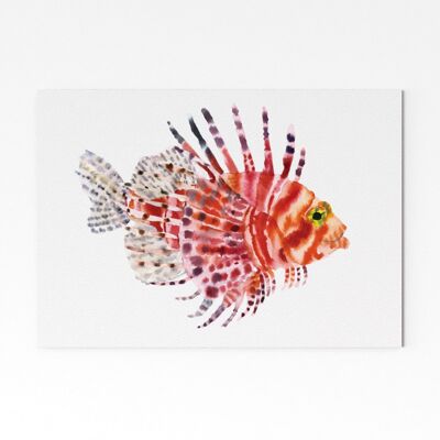 Lionfish - A4