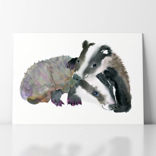 Badger Cubs - A3