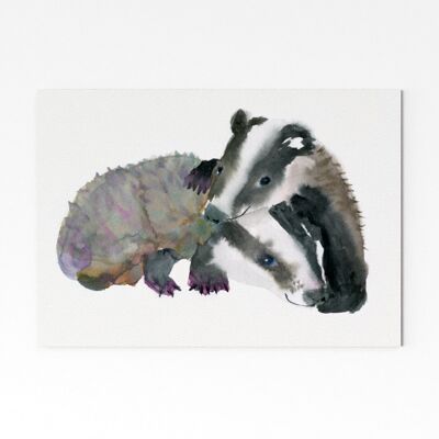 Badger Cubs - A5