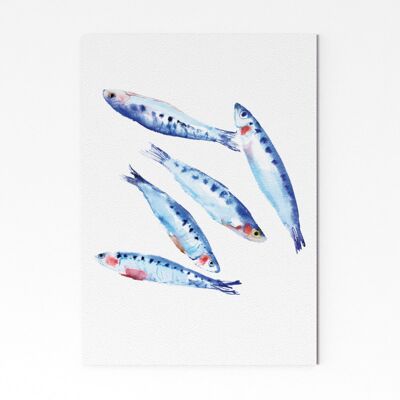 Sardines - A2