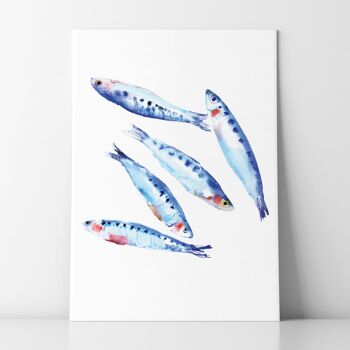 Sardines - A3 2