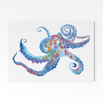 Octopus - A4