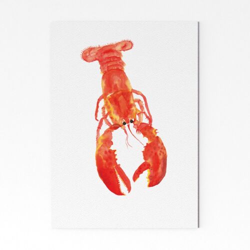 Lobster - A3