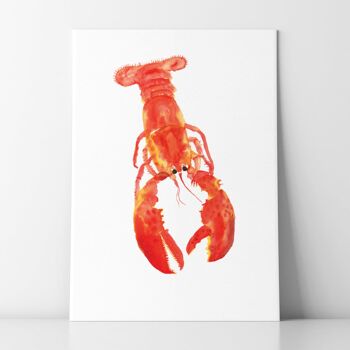 Homard - A5 2