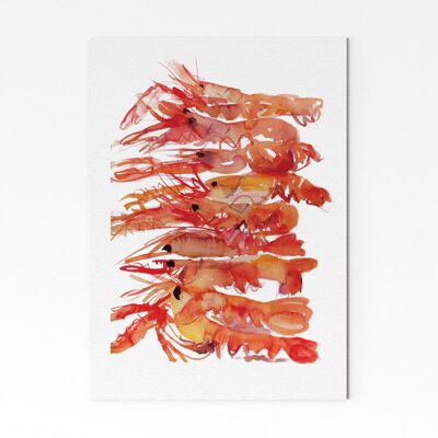 Langoustines - A2