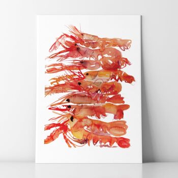 Langoustines - A4 1