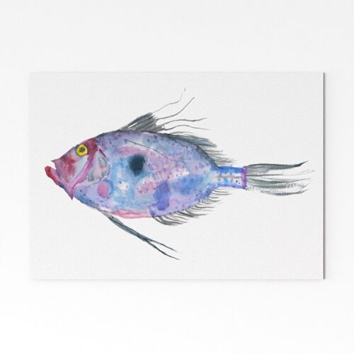 Jon Dory - A3