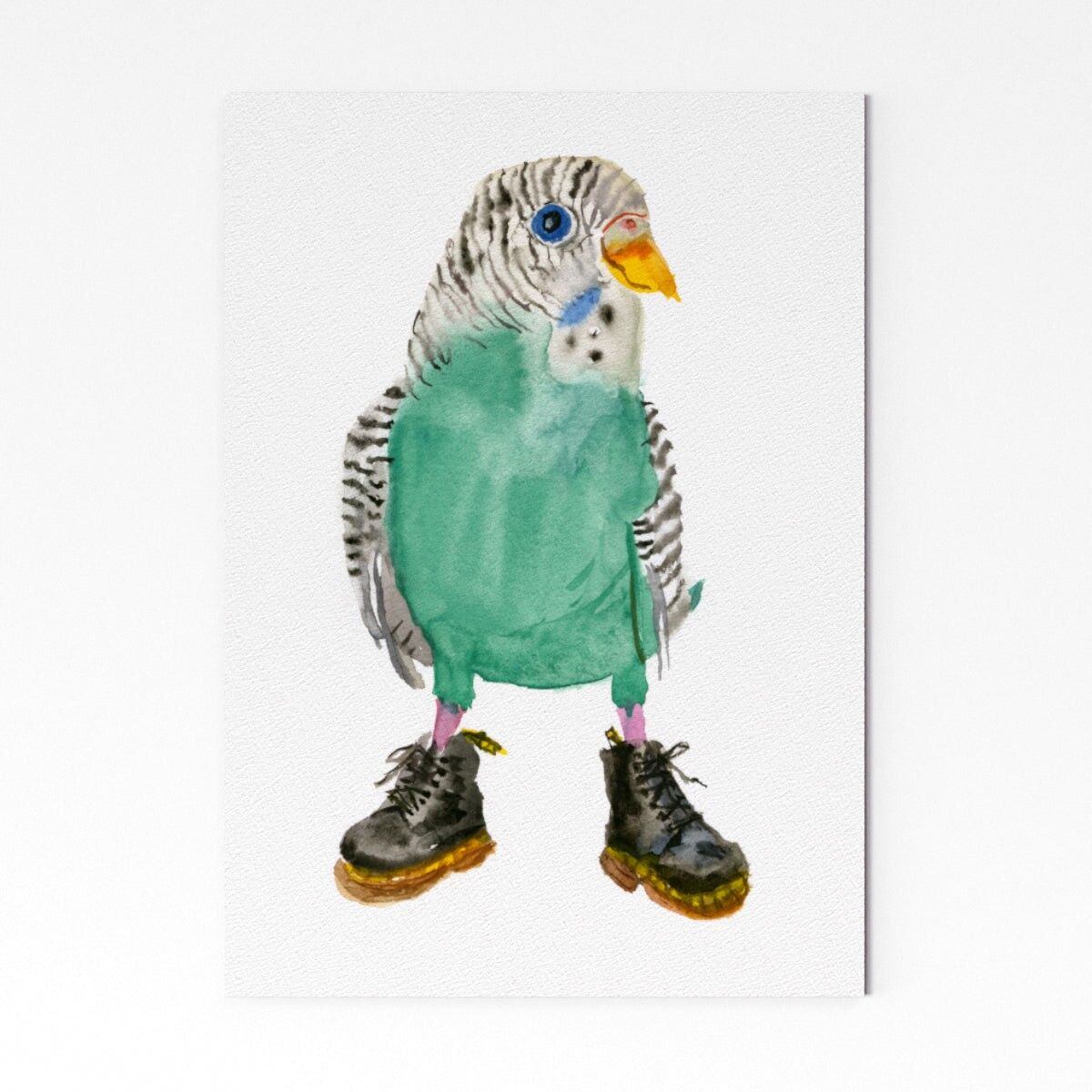 Doctor Budgie 2 - A3