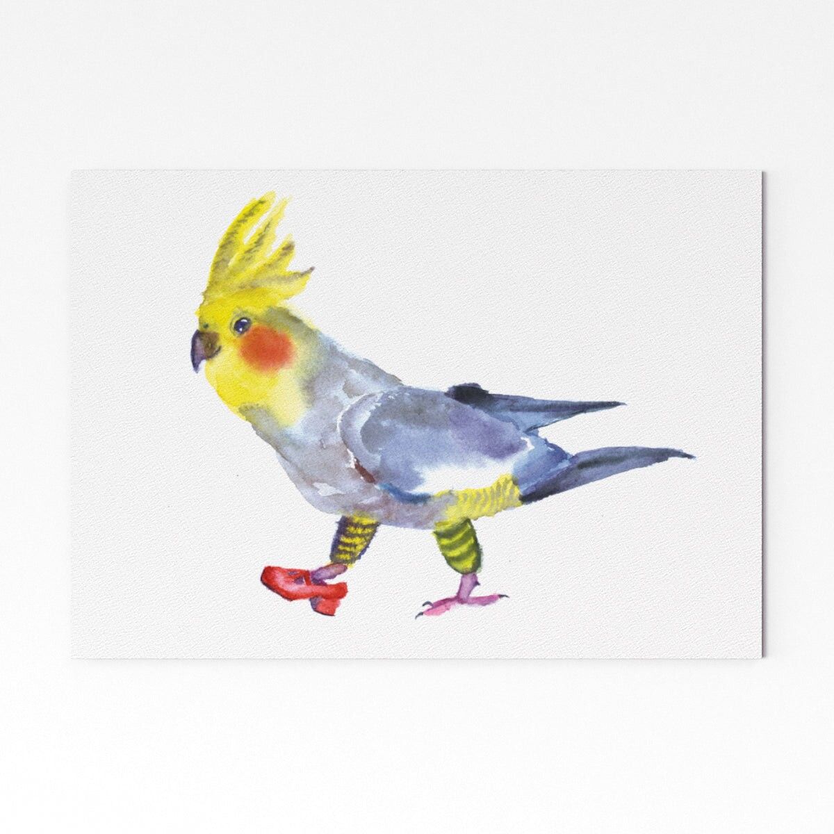 Kakadu in einem Schuh - A5