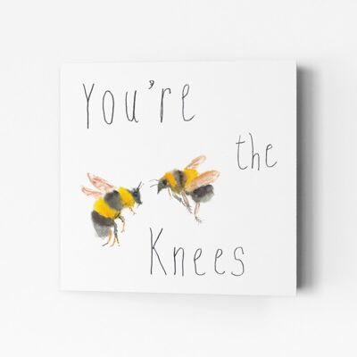 Vous êtes les genoux de l'abeille