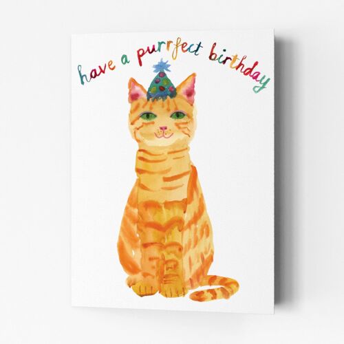 Purrfect Birthday