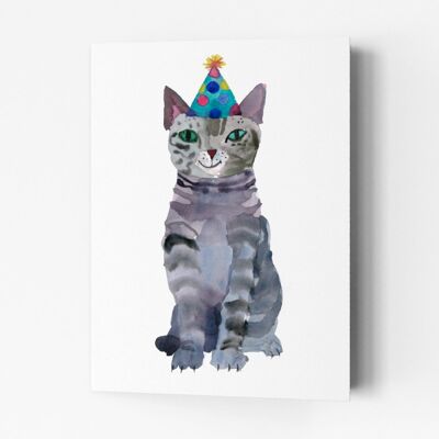 CHAT DE FÊTE