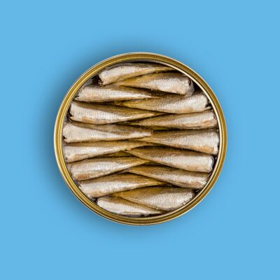 Sardine sott'olio d'oliva