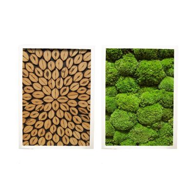Combination of 2 - wooden ball moss - white plastic frame