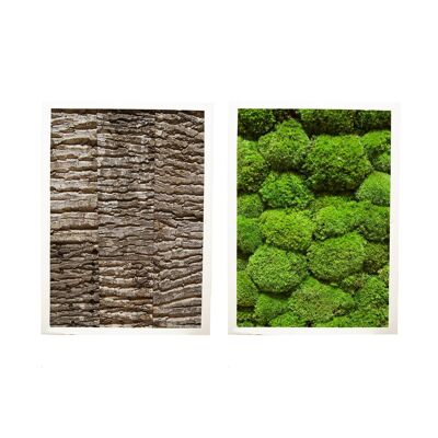 Combination of 2 - ball moss bark - black plastic frame