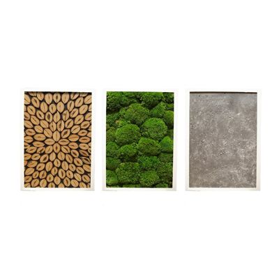 Combination of 3 - wooden pole moss stone - white plastic frame