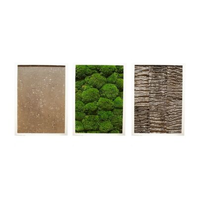 Combination of 3 - stone ball moss bark - white plastic frame