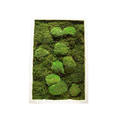 Pole/Flat Moss - 12" x 24" - White Plastic Frame