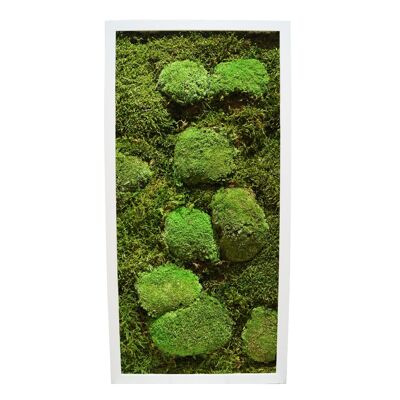 Poteau/Plat Moss - 122 x 61 cm - Cadre plastique noir