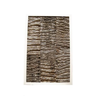 Bark - 30.5 x 61 cm - White plastic frame