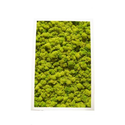 Vert citron - 30,5 x 61 cm - Cadre en plastique blanc