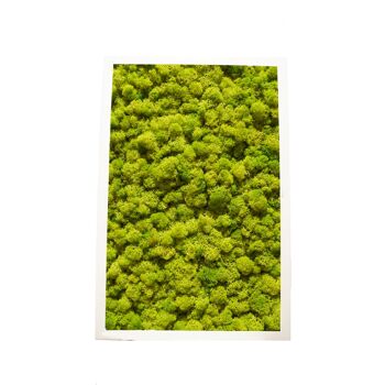 Vert citron - 30,5 x 61 cm - Cadre en plastique blanc 1