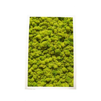 Verde lime - 30,5 x 61 cm - Cornice in plastica nera