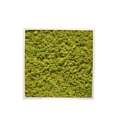 Vert citron - 61 x 61 cm - Cadre en plastique blanc