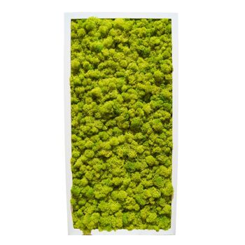 Vert citron - 122 x 61 cm - Cadre en plastique blanc 1